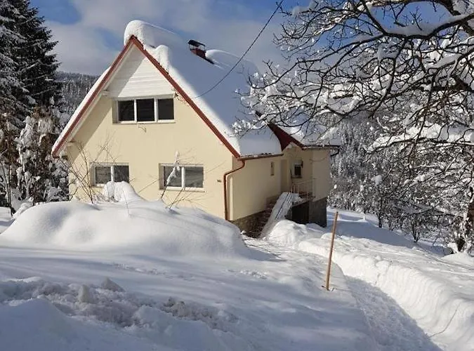 House With A Parking Space Vrbovsko, Gorski Kotar - 20539 ורבובסקו